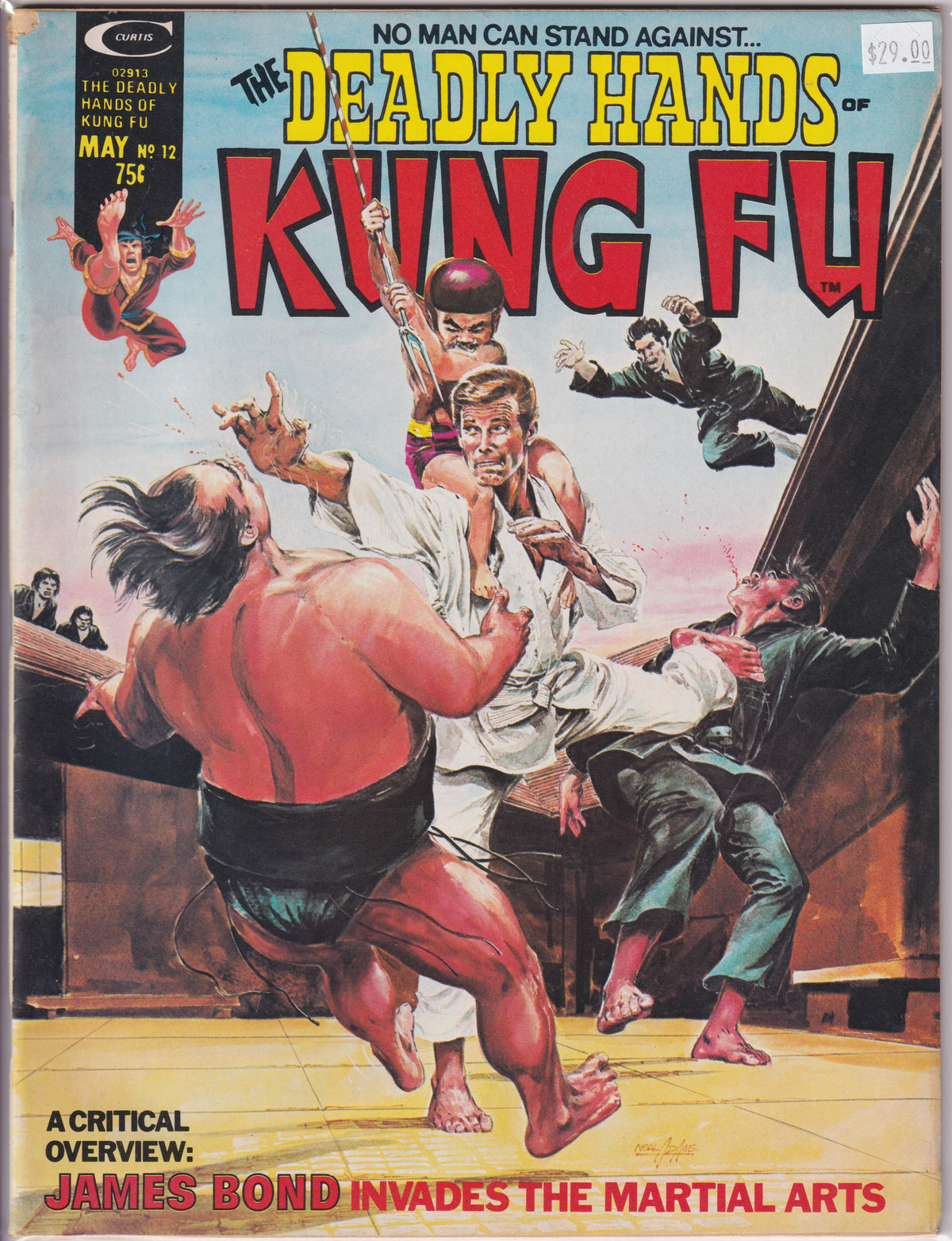 The Deadly Hands of Kung Fu #12