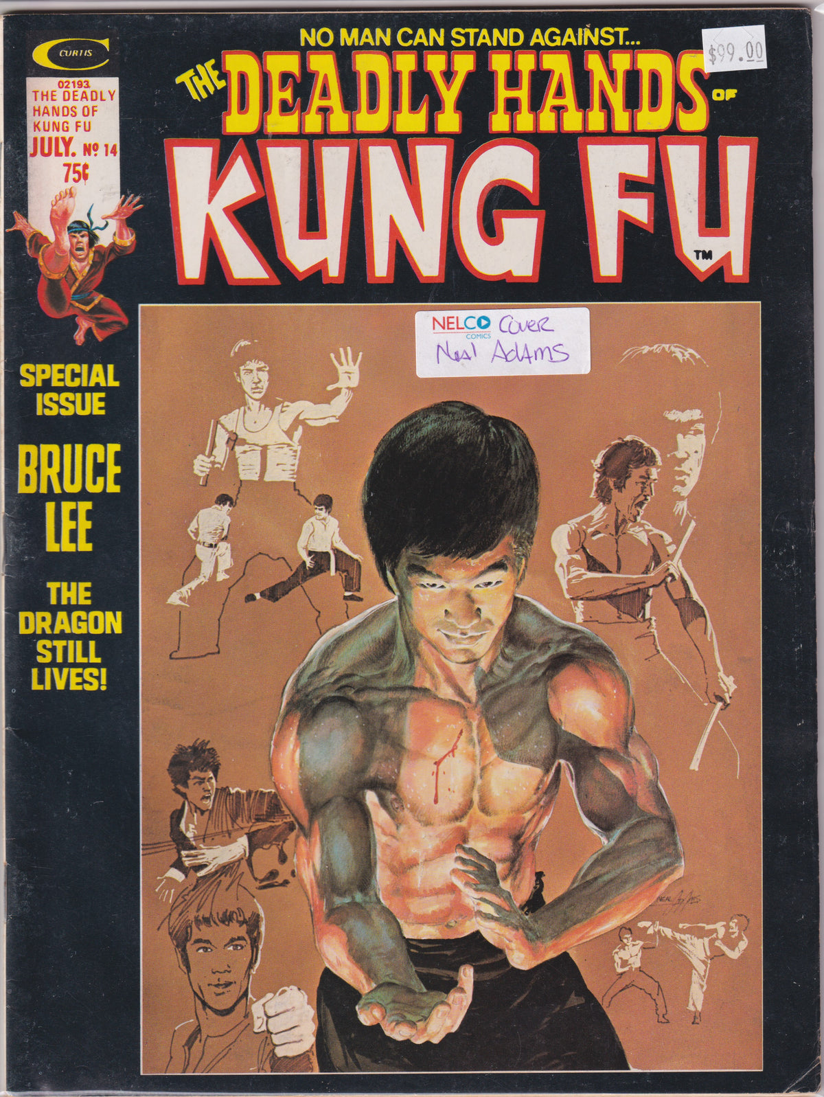 The Deadly Hands of Kung Fu #14