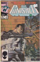 The Punisher #2 of 5 A